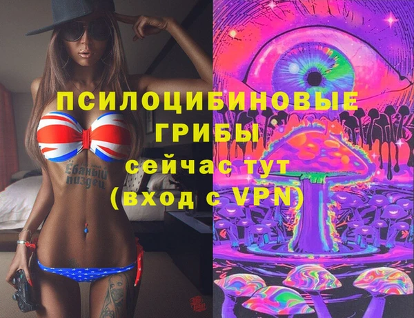 2c-b Алзамай