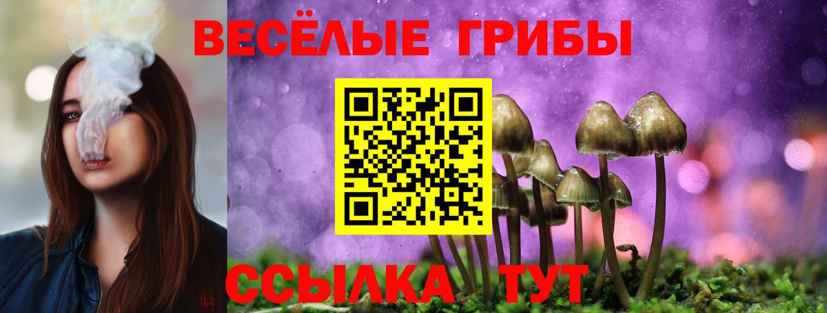Галлюциногенные грибы GOLDEN TEACHER  Вход с VPN  Менделеевск 